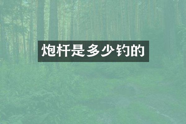 炮杆是多少钓的