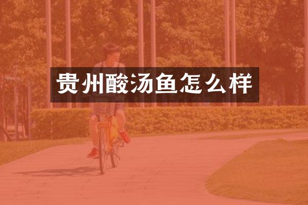 贵州酸汤鱼怎么样