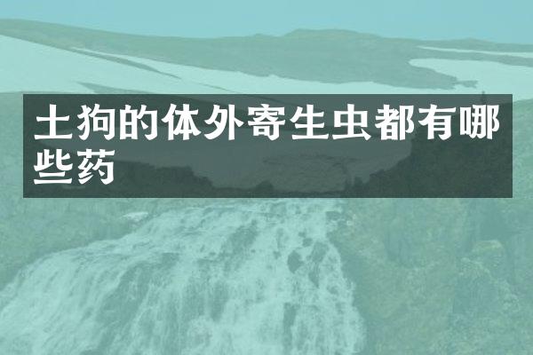 土狗的体外寄生虫都有哪些药