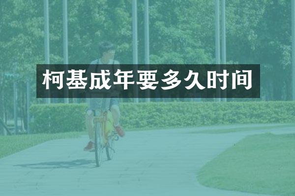 柯基成年要多久时间