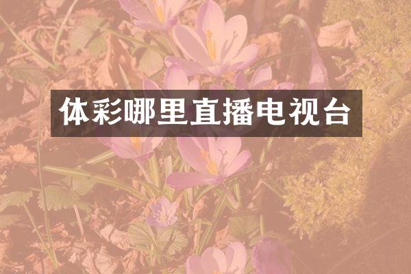 体彩哪里直播电视台