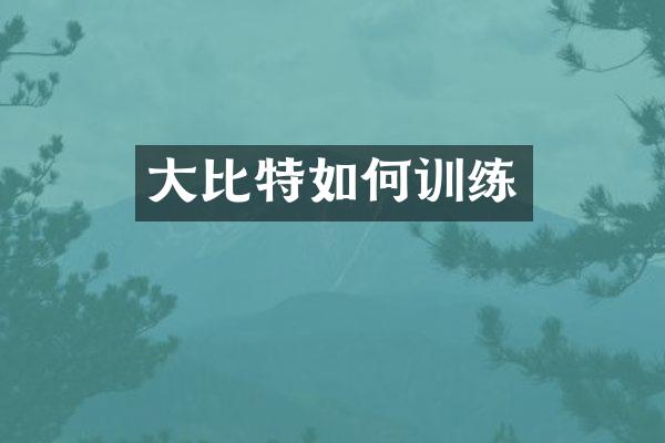 大比特如何训练