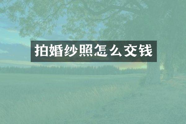 拍婚纱照怎么交钱