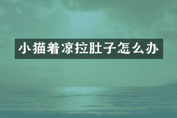 小猫着凉拉肚子怎么办