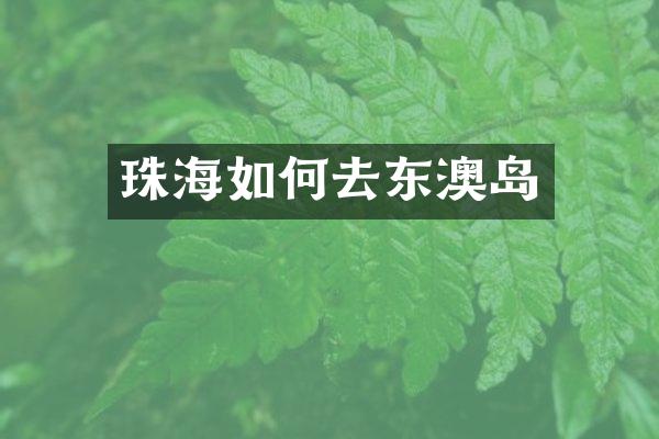 珠海如何去东澳岛