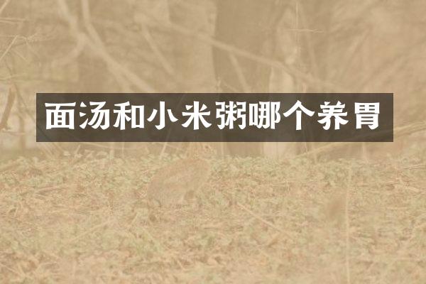 面汤和小米粥哪个养胃