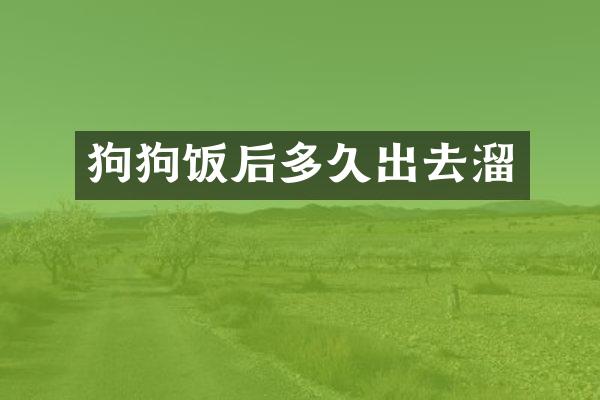 狗狗饭后多久出去溜