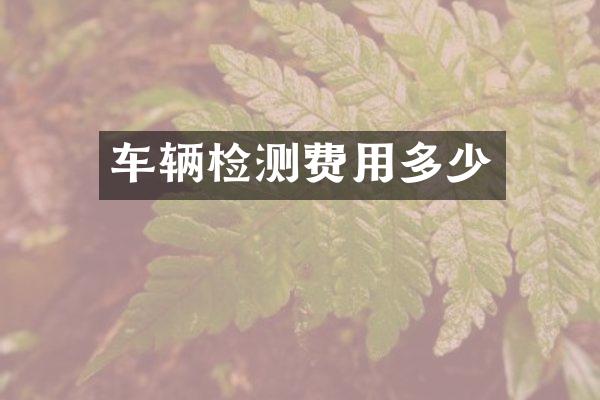 车辆检测费用多少