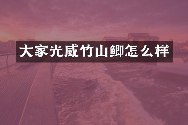 大家光威竹山鲫怎么样