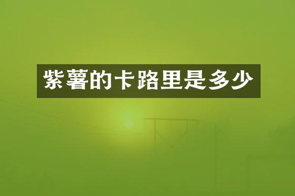 紫薯的卡路里是多少