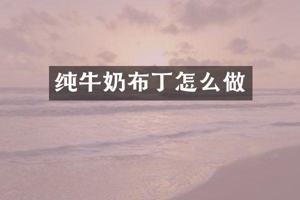 纯牛奶布丁怎么做