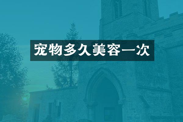 宠物多久美容一次