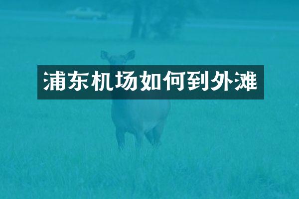 浦东机场如何到外滩