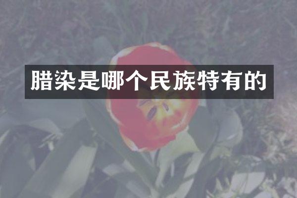 腊染是哪个民族特有的