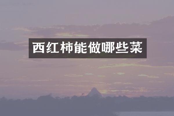 西红柿能做哪些菜