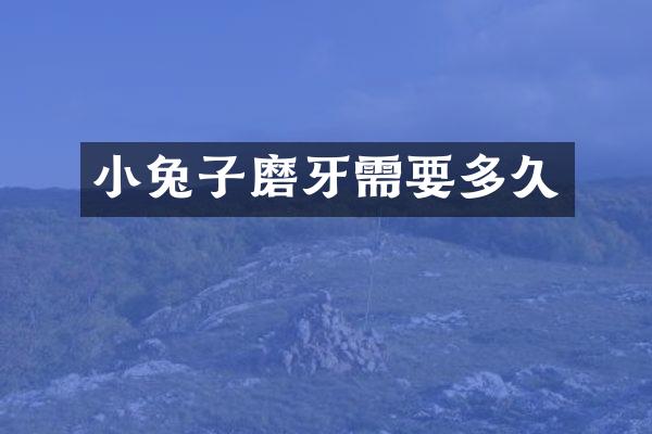 小兔子磨牙需要多久