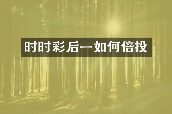 时时彩后一如何倍投