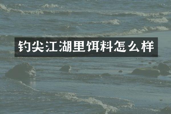 钓尖江湖里饵料怎么样