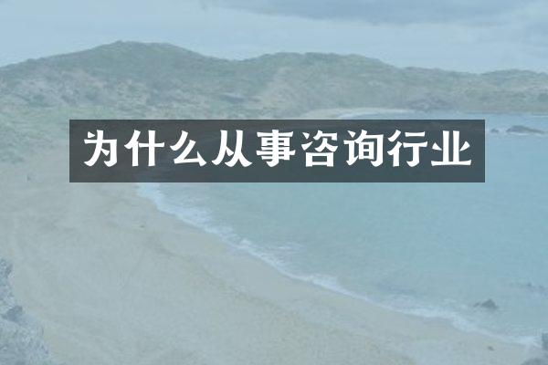 为什么从事咨询行业