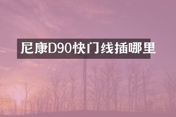 尼康D90快门线插哪里