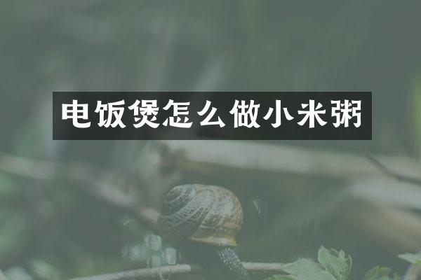 电饭煲怎么做小米粥