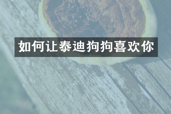 如何让泰迪狗狗喜欢你