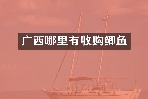 广西哪里有收购鲫鱼