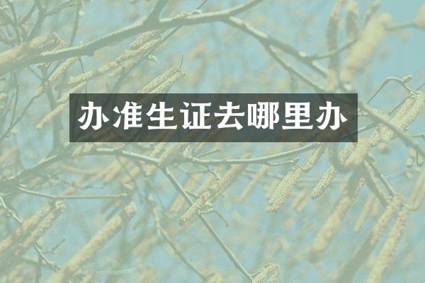 办准生证去哪里办