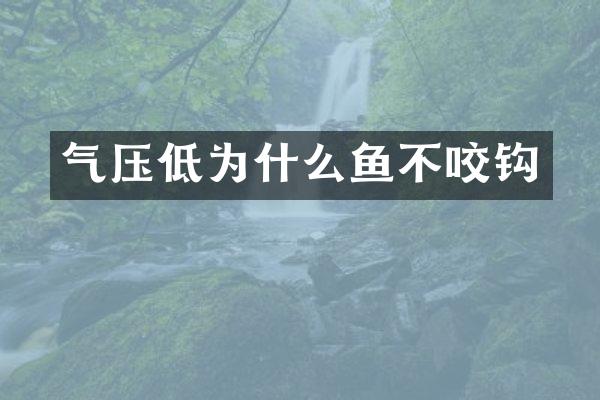 气压低为什么鱼不咬钩