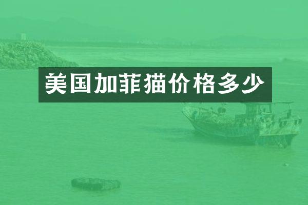 美国加菲猫价格多少