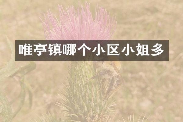 唯亭镇哪个小区多