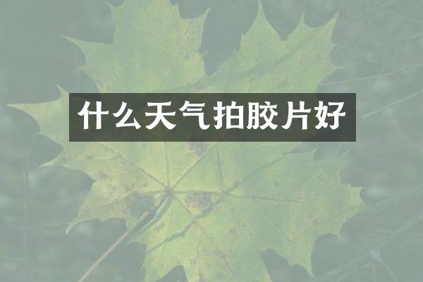 什么天气拍胶片好