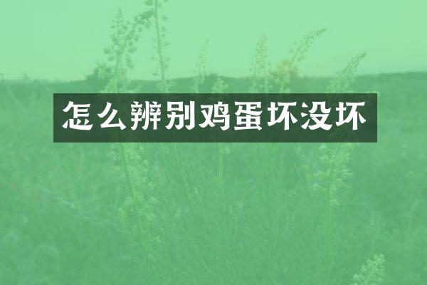 怎么辨别鸡蛋坏没坏