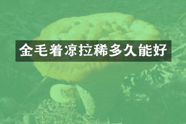 金毛着凉拉稀多久能好