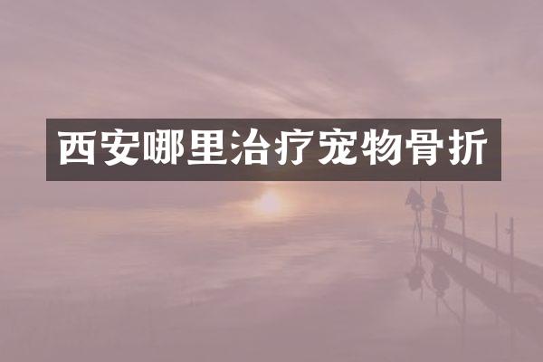 西安哪里治疗宠物骨折