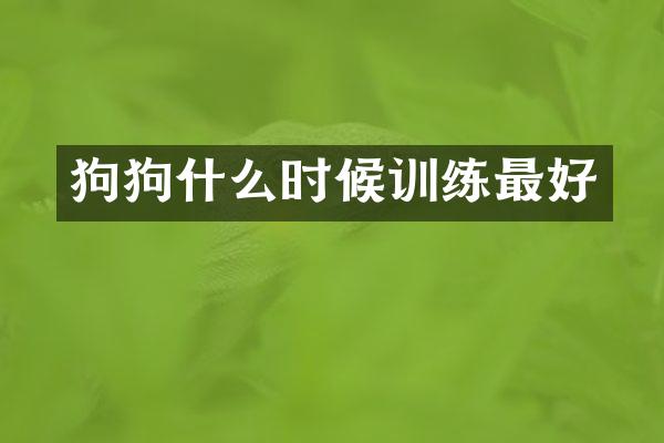 狗狗什么时候训练最好
