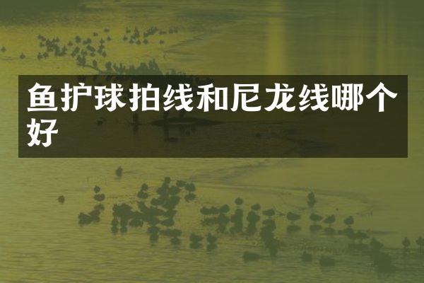 鱼护球拍线和尼龙线哪个好