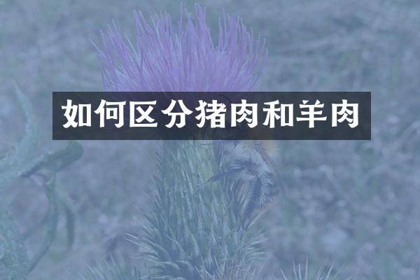 如何区分猪肉和羊肉