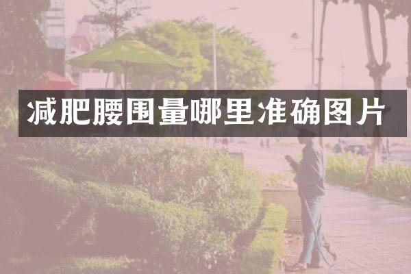 减肥腰围量哪里准确图片