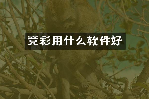 竞彩用什么软件好