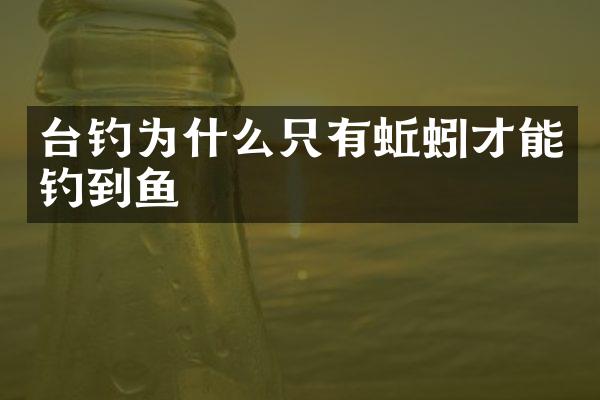 台钓为什么只有蚯蚓才能钓到鱼
