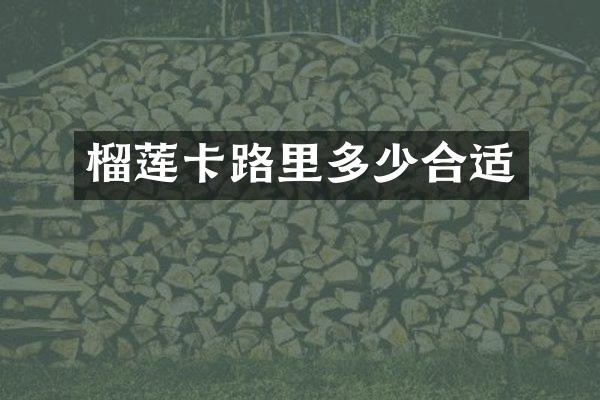榴莲卡路里多少合适