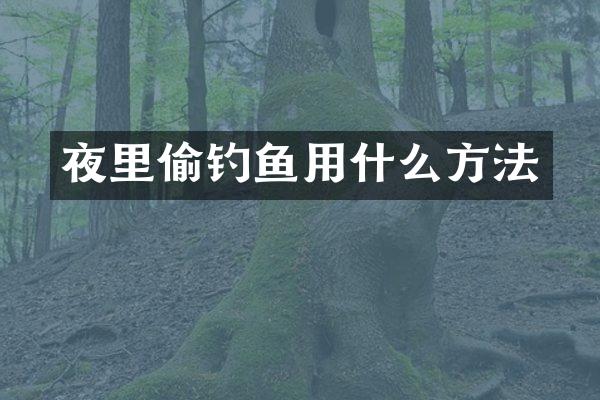 夜里偷钓鱼用什么方法