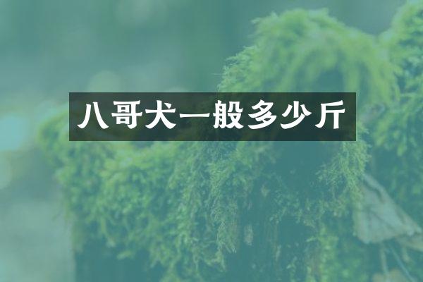 八哥犬一般多少斤