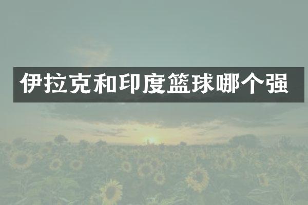 伊拉克和印度篮球哪个强