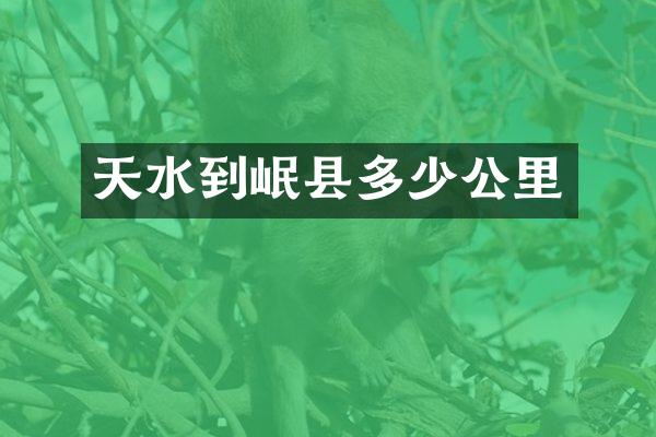 天水到岷县多少公里