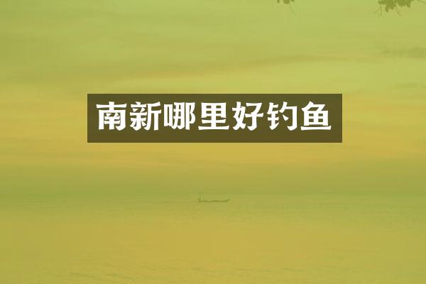 南新哪里好钓鱼