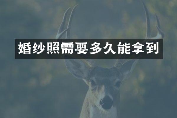 婚纱照需要多久能拿到