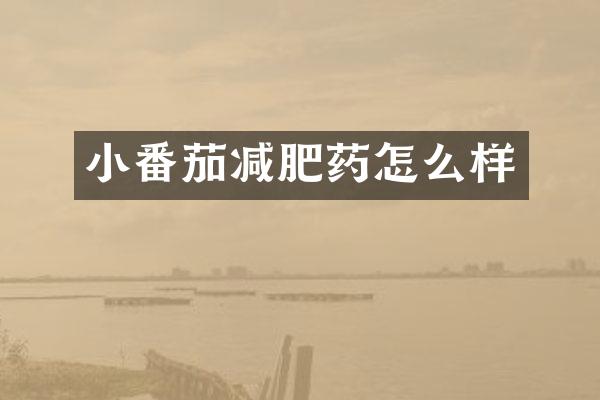 小番茄减肥药怎么样