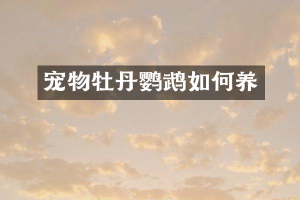 宠物牡丹鹦鹉如何养